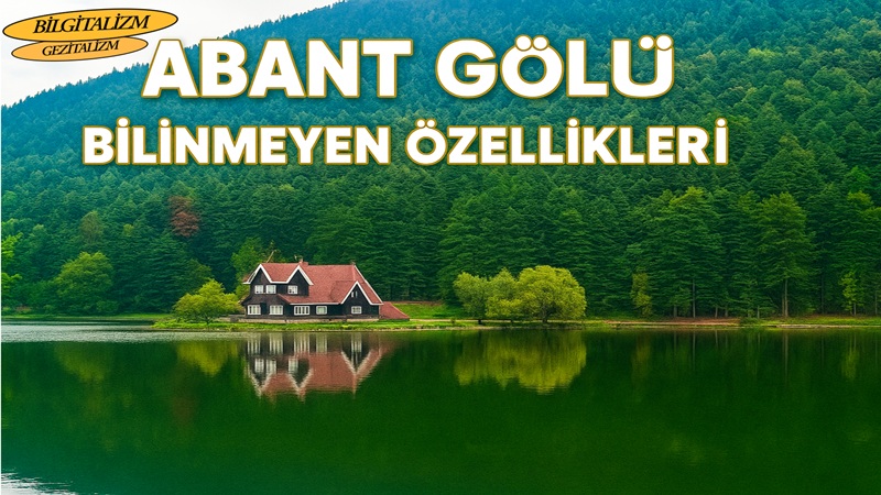 Bolu Abant Gölü: Doğal Güzelliği, Bilinmeyen Özellikleri ve Tabiat Parkı Hakkında Her Şey
